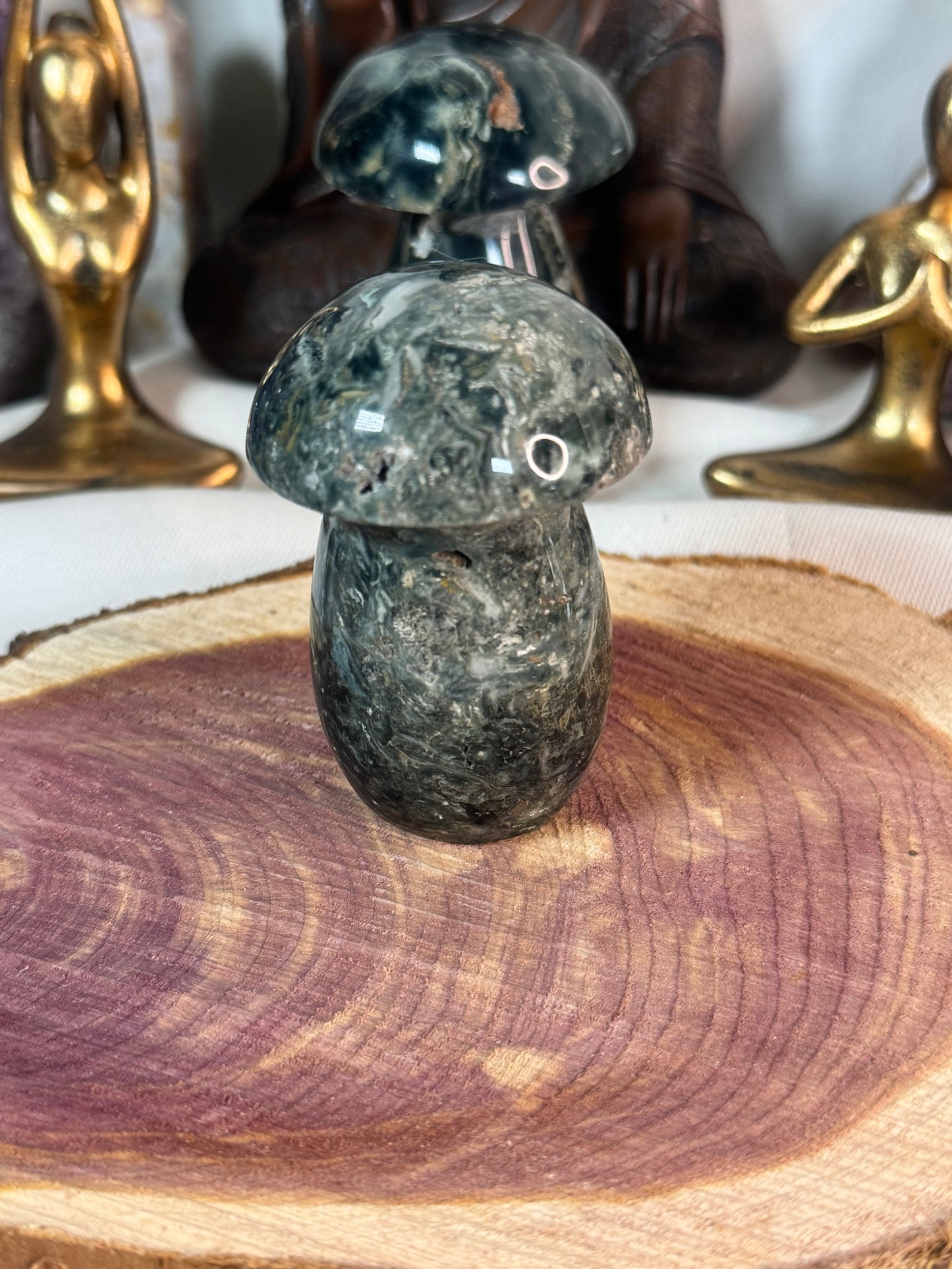 Ocean Jasper Mushroom