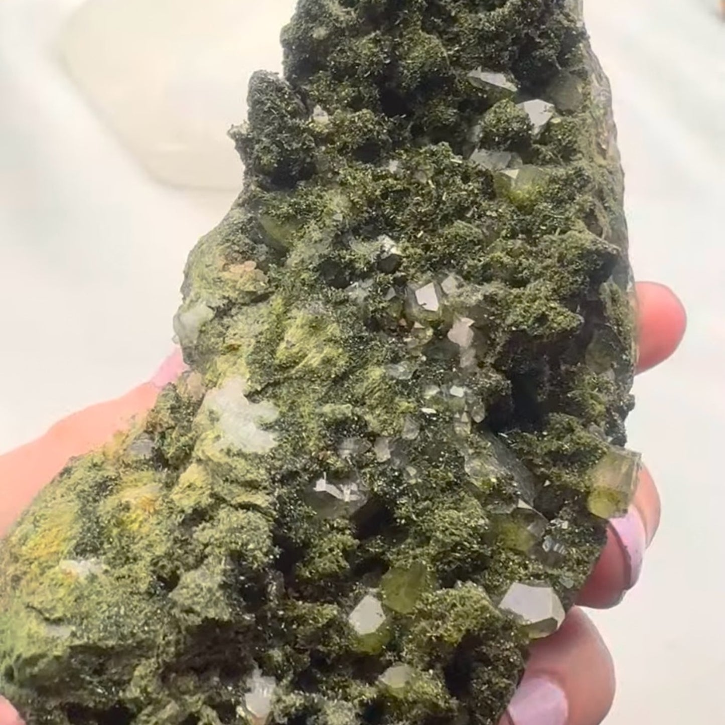 Forest Fairy Epidote 🧚 Mineral Specimen