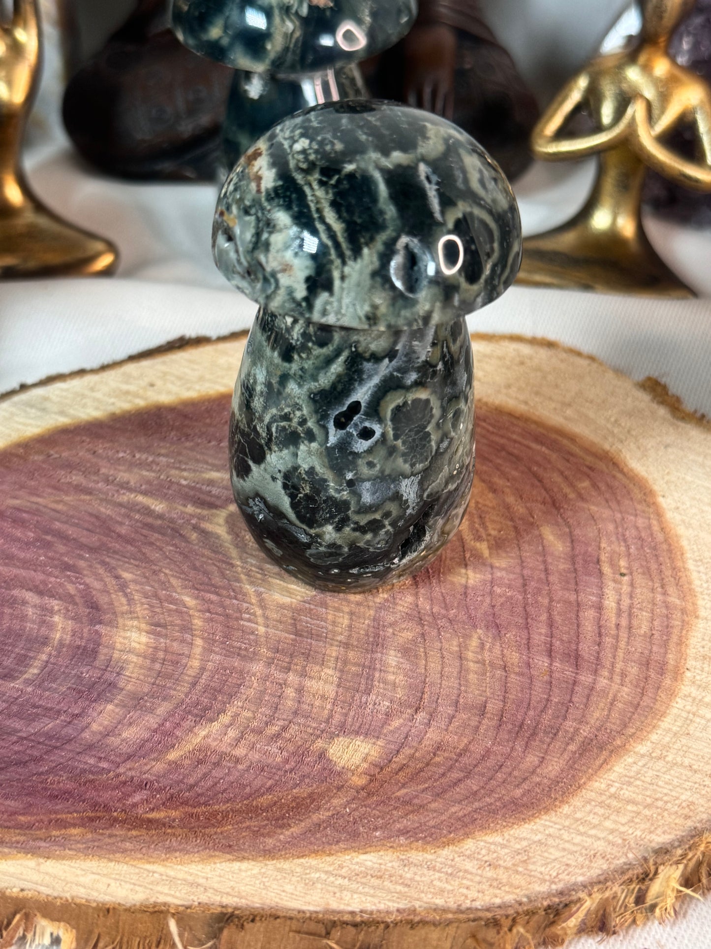 Ocean Jasper Mushroom