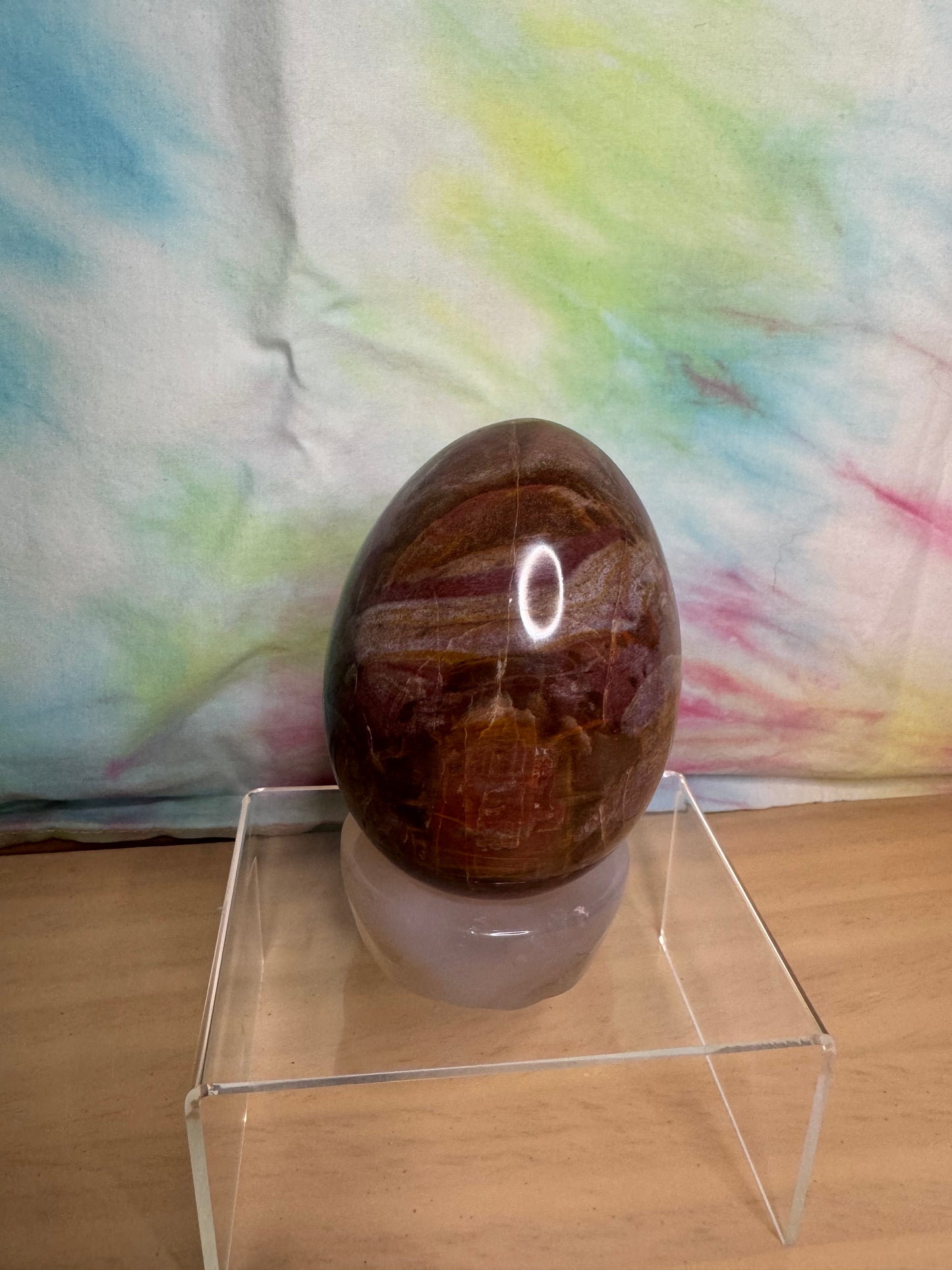 Petrified Wood Egg
