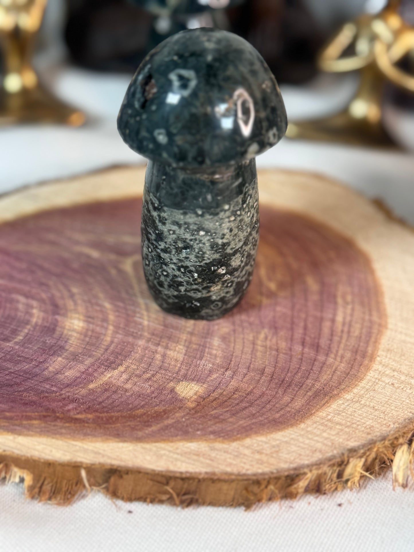 Ocean Jasper Mushroom