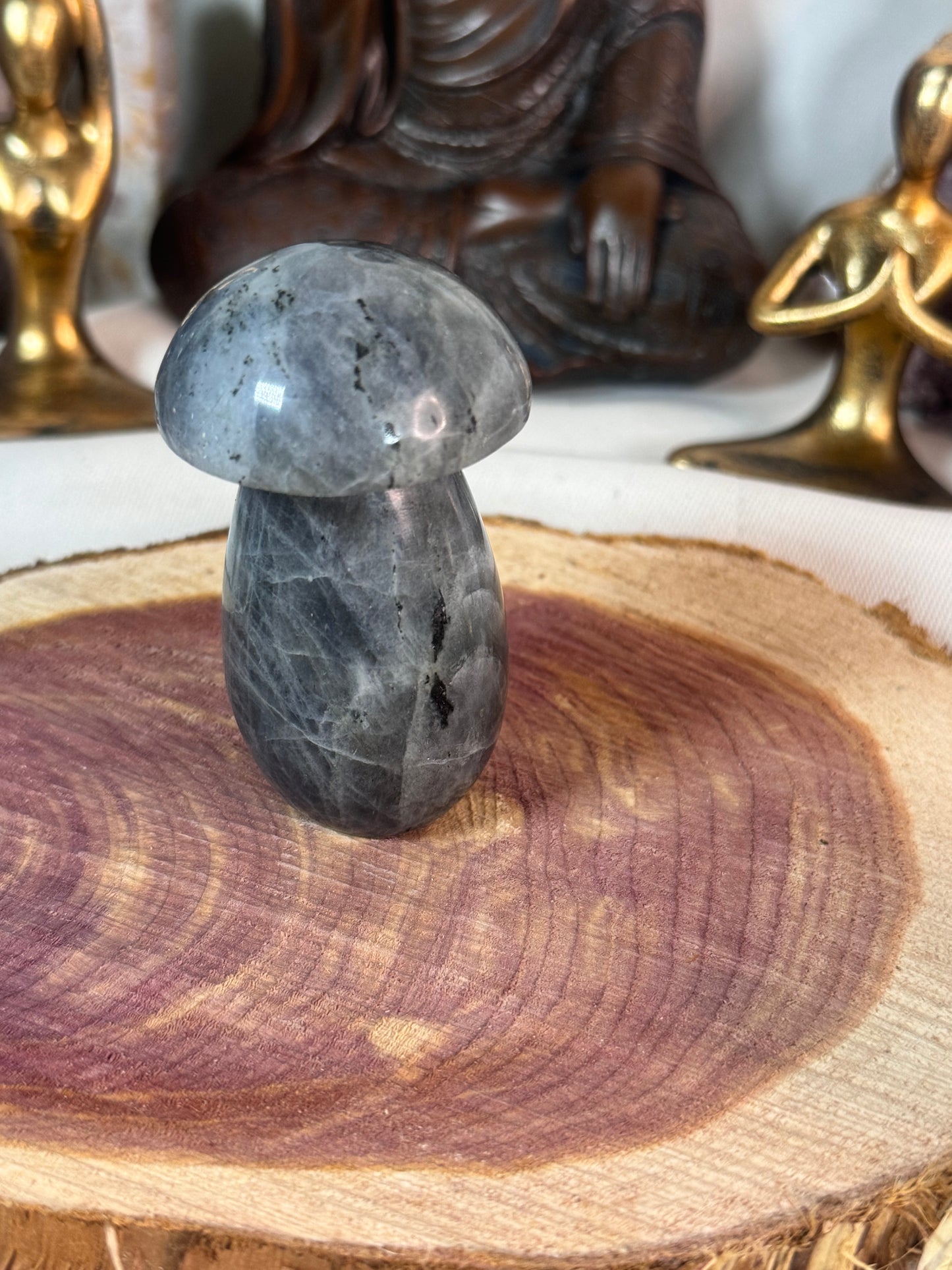 Silver Labradorite Mushroom