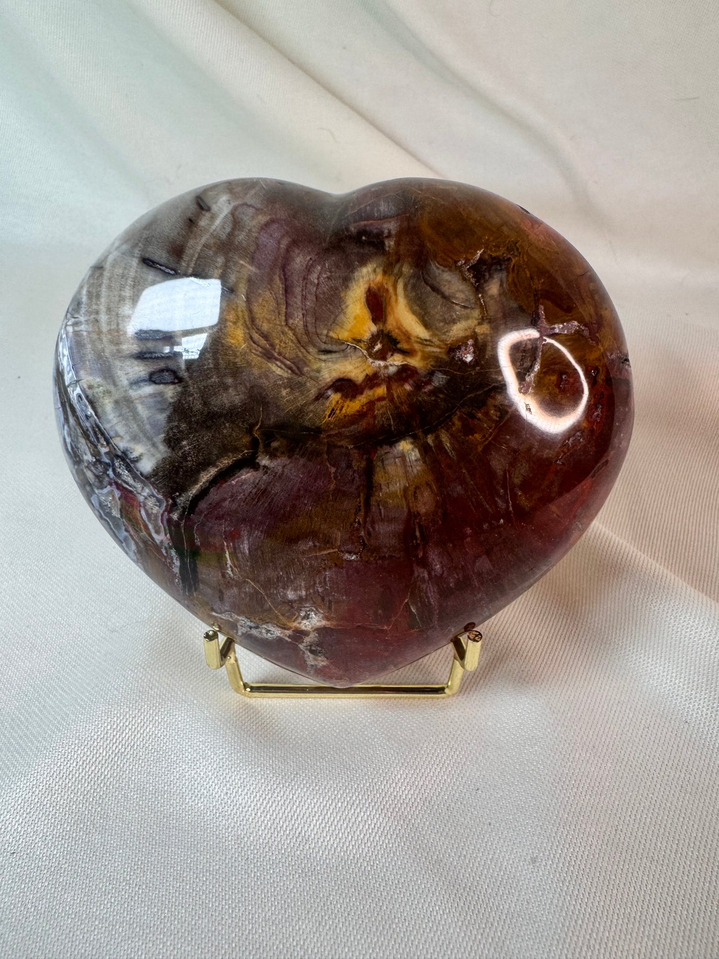 Petrified Wood Heart