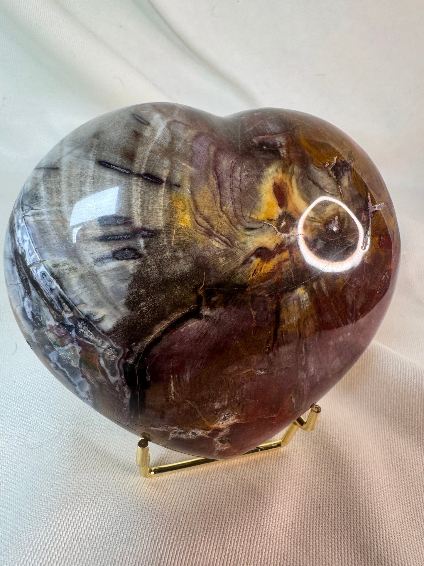 Petrified Wood Heart